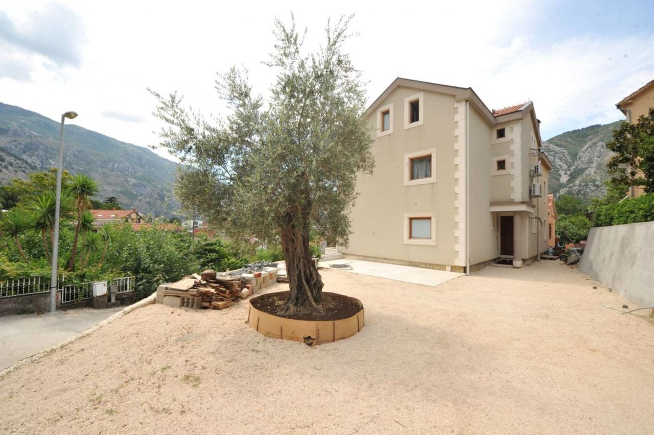 Apartments Olive Kotor Eksteriør billede
